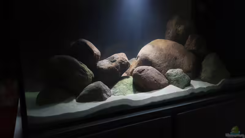 23.11.20 von Aqua fan (7)