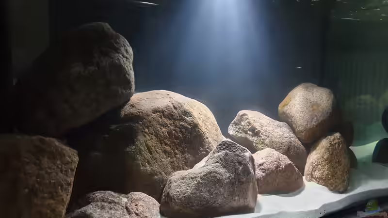 23.11.20 von Aqua fan (8)