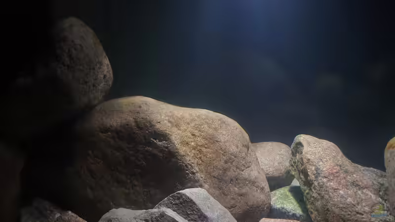 23.11.20 von Aqua fan (9)