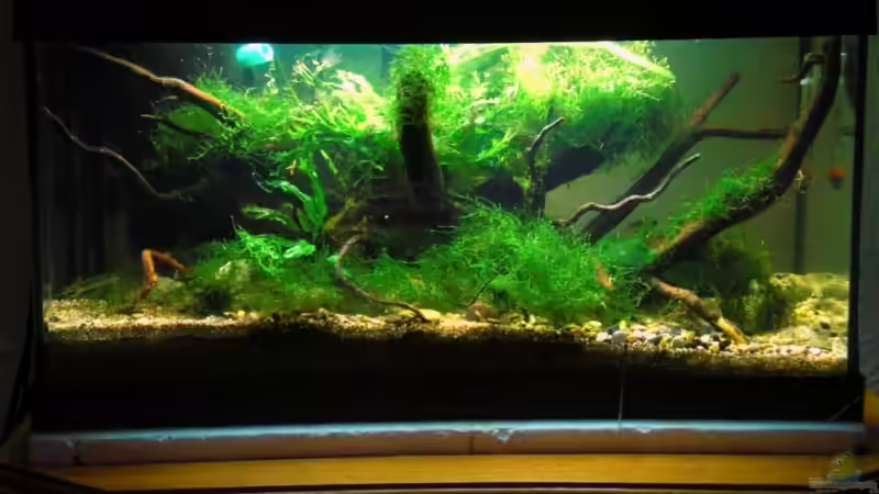 23.12.08  von Dominik (12)