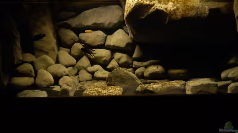 23.12.10 von LaEy (22)