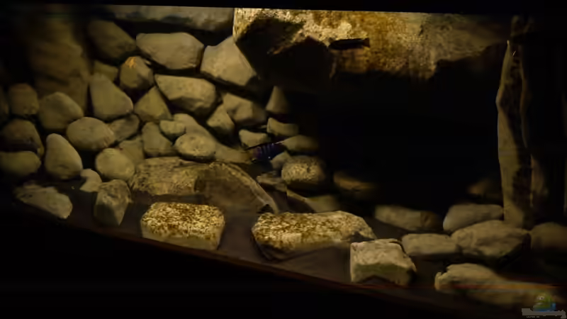 23.12.10 von LaEy (23)