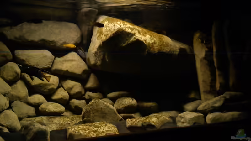 23.12.10 von LaEy (25)