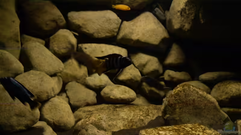 23.12.10 von LaEy (81)