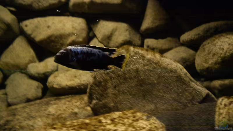 23.12.10 von LaEy (83)