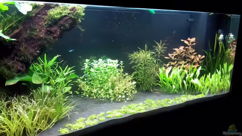 23.12.13 von Terence Hill (5)