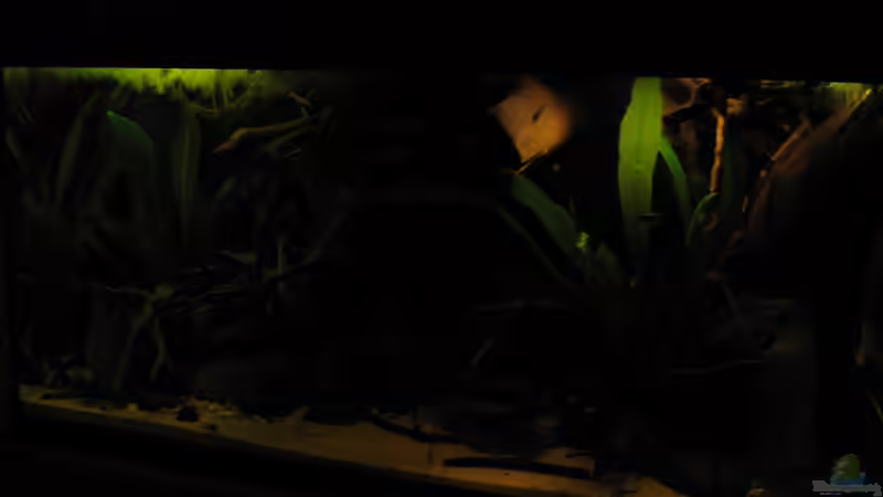 23.12.14 von Jemafa (9)