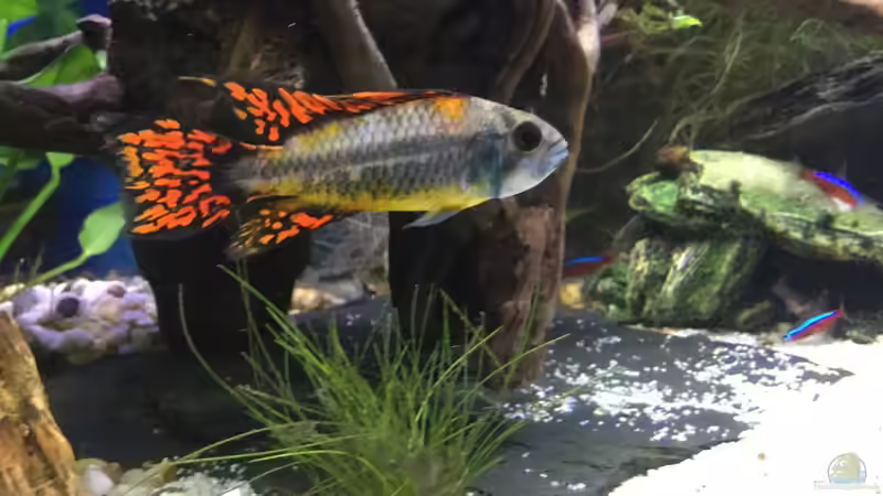 23.12.15 von .Andreas. (107)