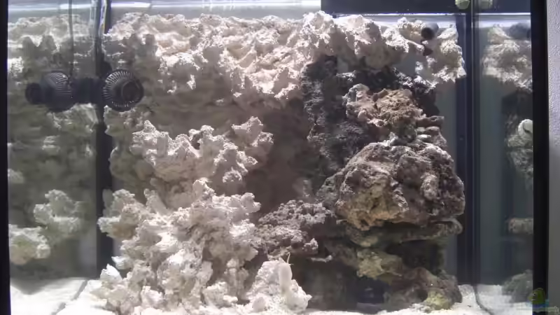 23.12.2008 front mit 10000 Kelvin-Brenner von Stephan Ascher (8)