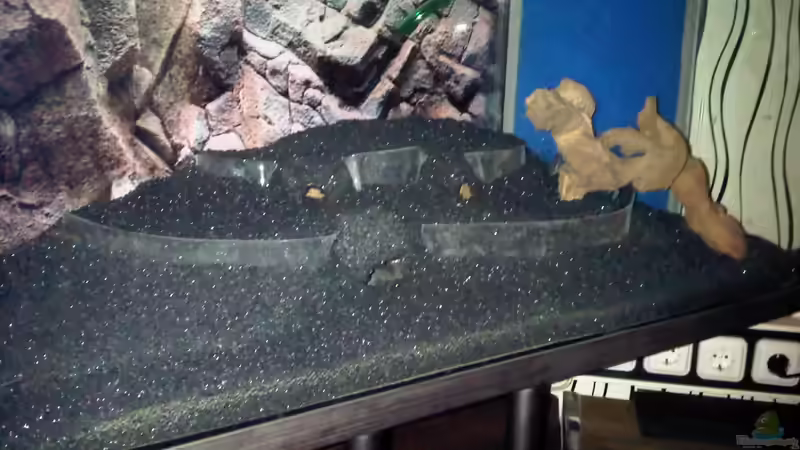 23.12.2011: Trockenversuch für den Hügel von Catfu (3)