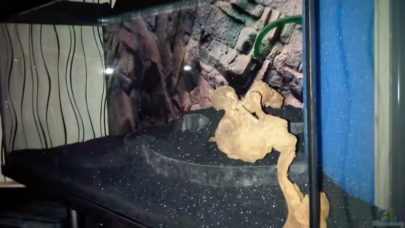 23.12.2011: Trockenversuch für den Hügel von Catfu (4)