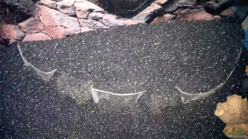 23.12.2011: Trockenversuch für den Hügel von Catfu (7)