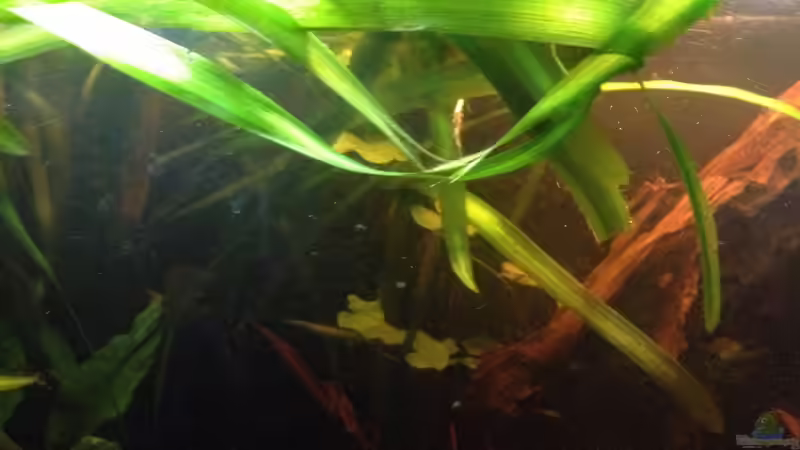 23.12.2013 von der Steirer (37)