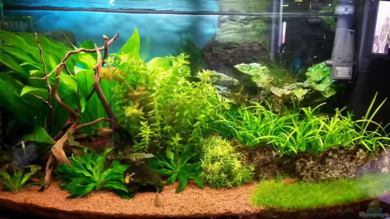 23.12.2013 von Tobias H. (2)