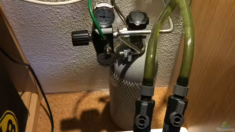 23.12.2021 angeschlossen von herkla (24)