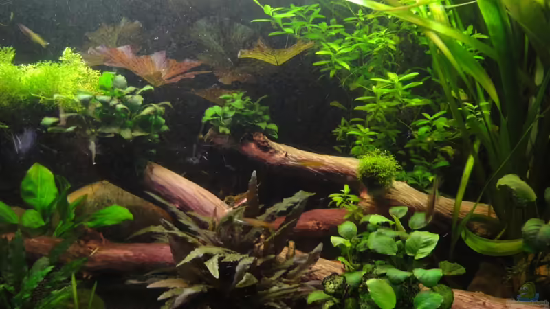 23.2.12 von Heiko Stracke (17)