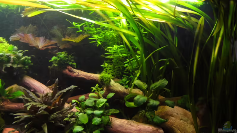 23.2.12 von Heiko Stracke (18)