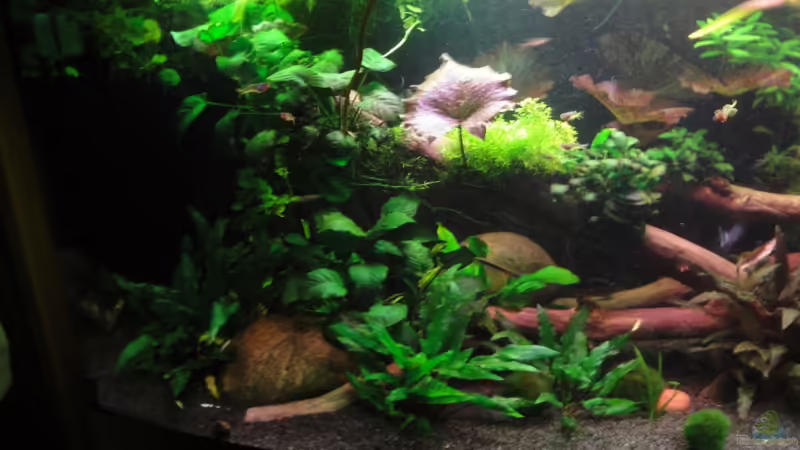 23.2.12 von Heiko Stracke (19)