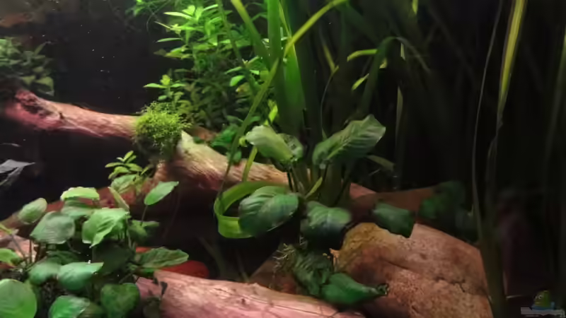 23.2.12 von Heiko Stracke (52)