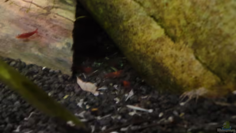 23.2.12 von Heiko Stracke (81)