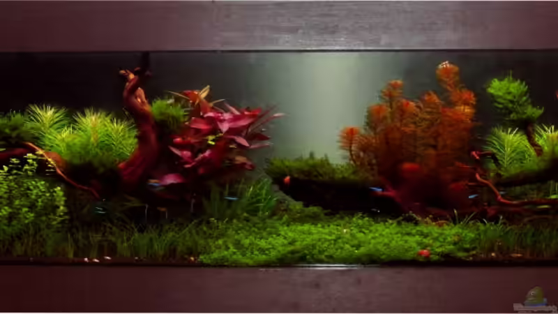 23.2.13 von Bjarke (13)