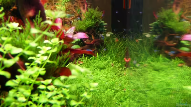 23.2.13 von links von Bjarke (14)