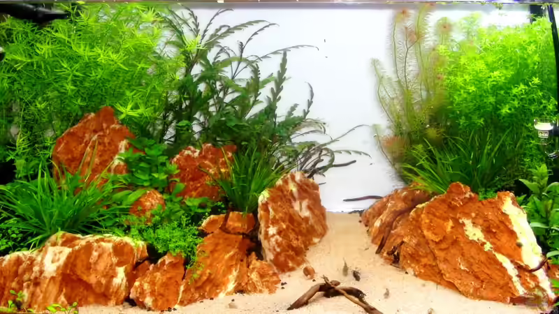 23.3.13 von Bjarke (11)