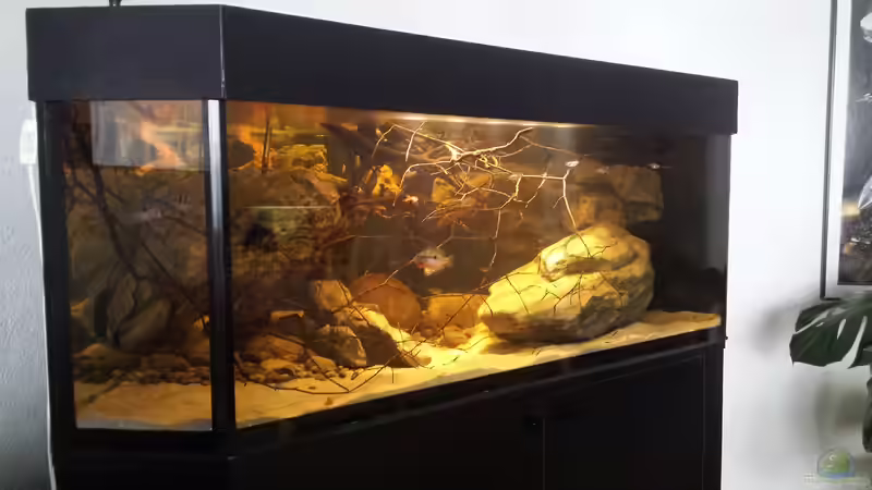 23 8.14 von Laura (23)