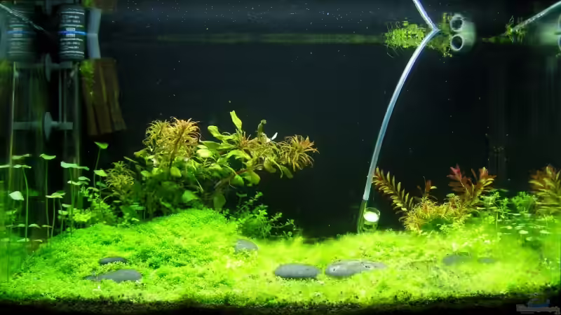 24. März 2008 von redcherry (3)