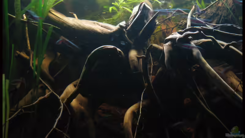 24.01.12 linke Seite, Ausschnitt von Alex S (8)