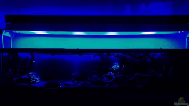 24.01.2010 - Das gesamte Becken mit Mondlicht von bergfrau (42)