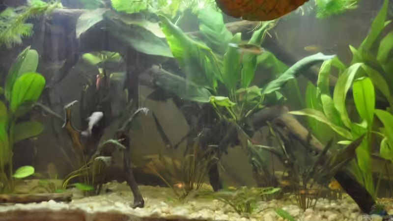 24.01.2014 von Patrick Scheffer (1)