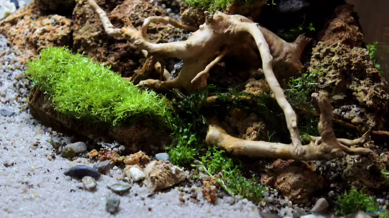 24.01.2015 rechte Seite von SouthAmerica (20)