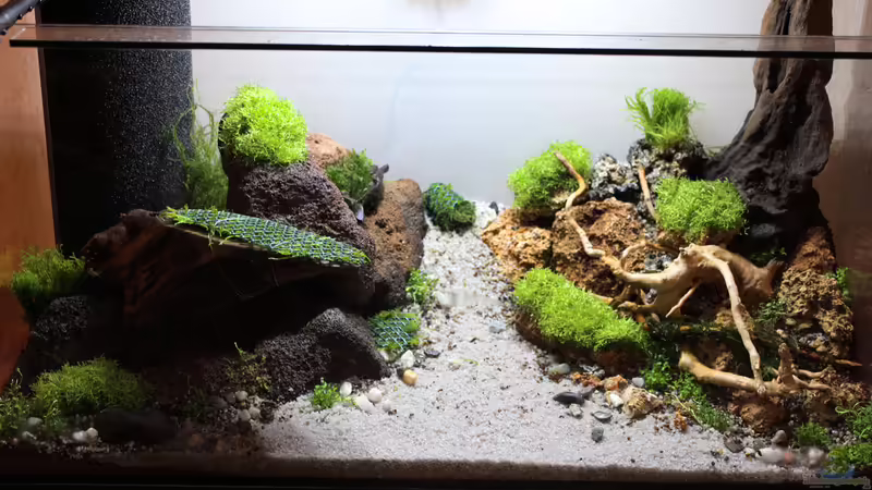 24.01.2015 vor der Befüllung von SouthAmerica (23)