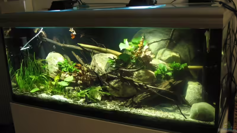 24.01.2017 gesamte Ansicht schräg von rechts von der Theoretiker (17)