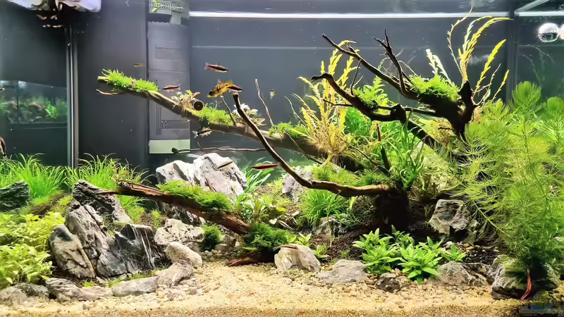 24.01.2022 von Comander (4)