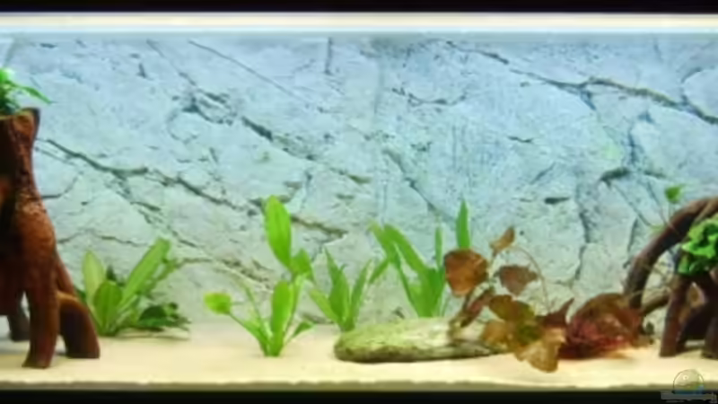 24.02.08 von Matthias Grobitzsch (4)