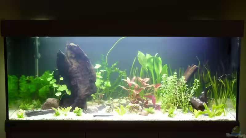 24.02.2011 2 Tage nach Inbetriebnahme-Einlaufphase von Steffen S. (3)