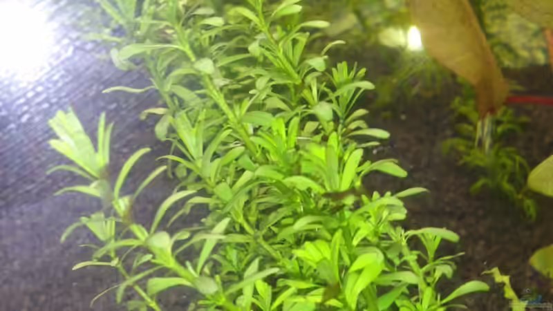 24.02.2014 von Wall-E (12)