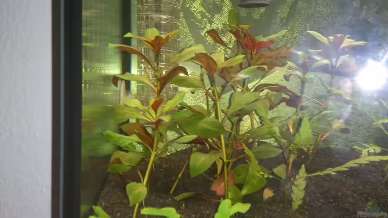 24.02.2014 von Wall-E (14)