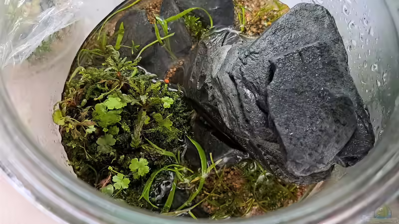 24.02.2023 von okefenokee (26)