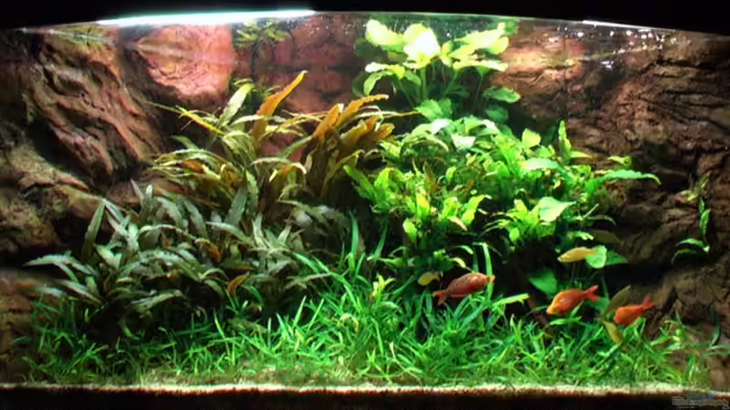 24.03.2006 von Tilo Schmiedl (8)