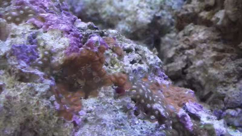 24.03.2011 von Dr. Manhattan (8)