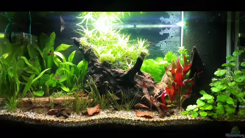 24.03.2013 von bocap (11)