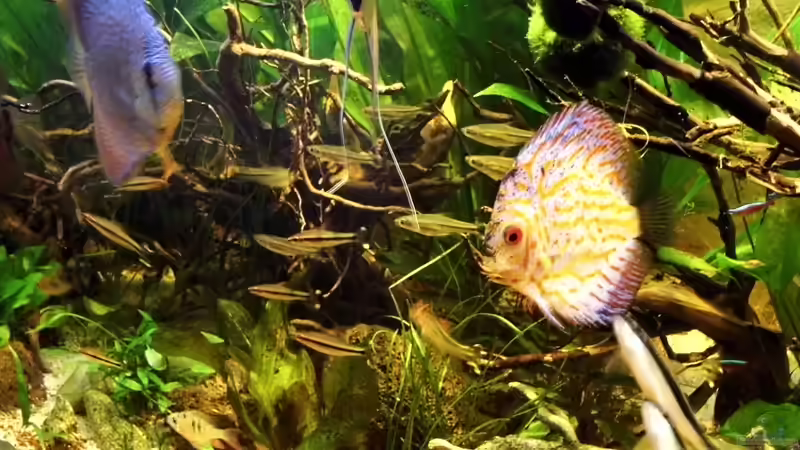 24.03.2013 von snooze (27)