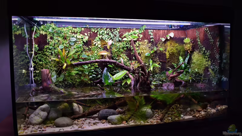 24.03.2019 von Junglist (8)