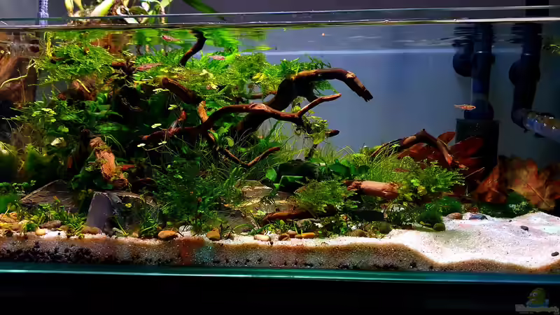 24.03 update von Romano E (6)