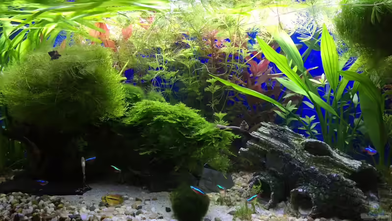 24.04.16 von .Andreas. (16)