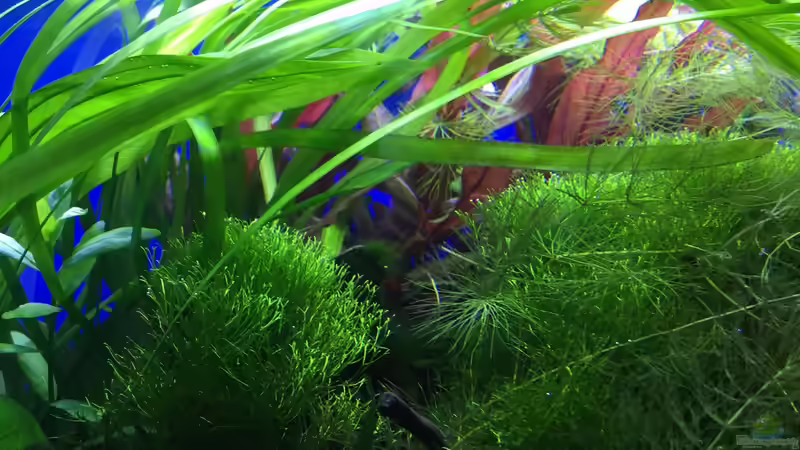 24.04.16 von .Andreas. (53)