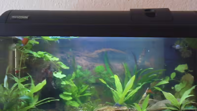 24.04.2010 von Ricky Helfert (2)